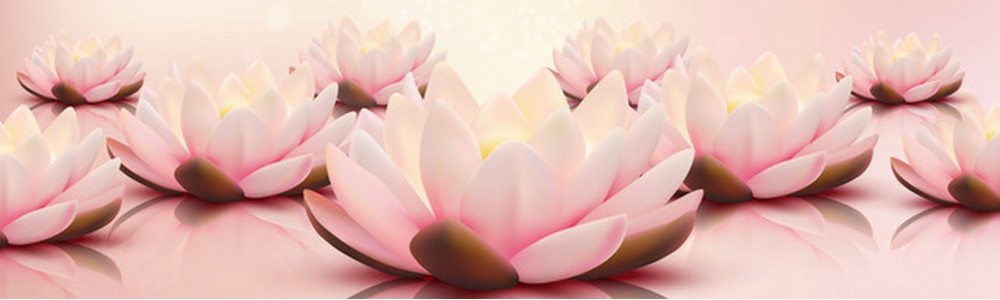 lotus Excellence Spa